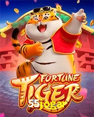 55JOGAR.COM